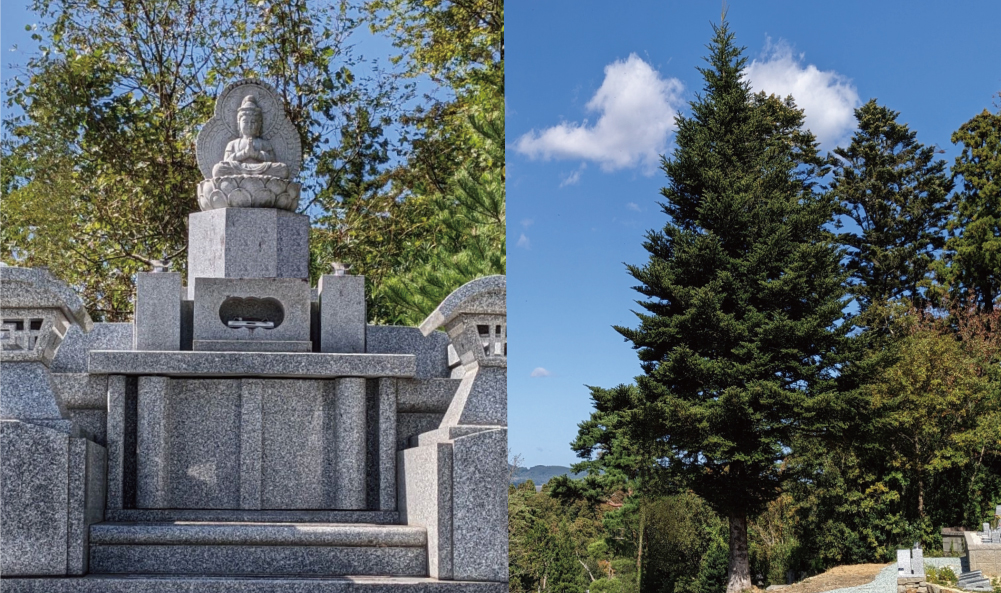 合葬墓・樹木墓