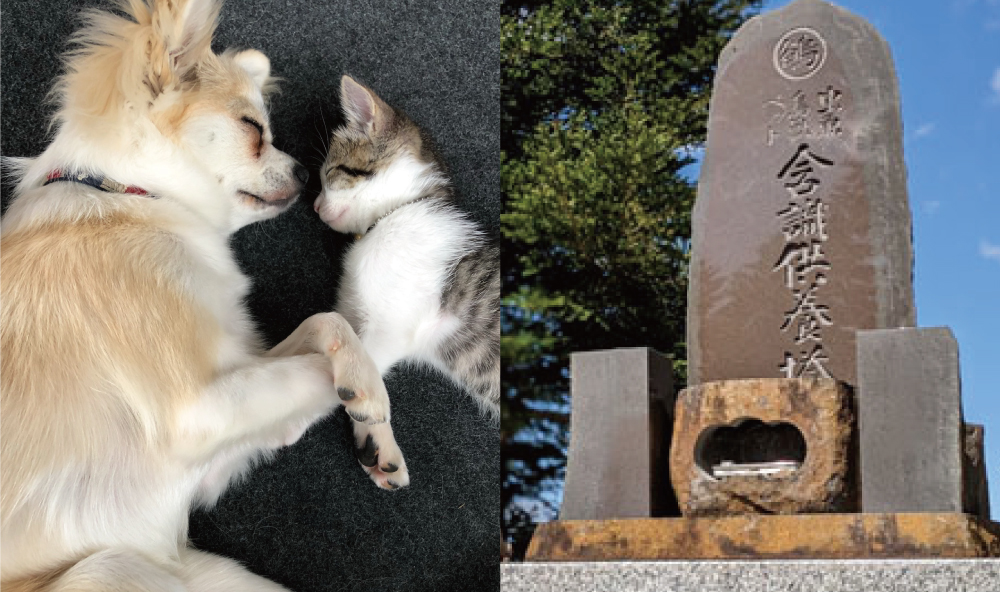 ペット供養墓